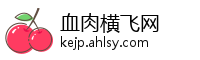 血肉横飞网